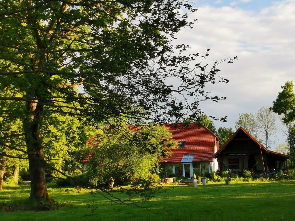 Widok na dom przez korony drzew